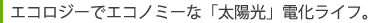 �G�R���W�[�ŃG�R�m�~�[�ȁu���z���v�d�����C�t�B 