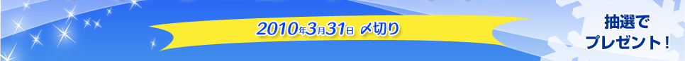 応募期間2010年1月20日〜3月31日