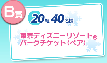 B�� 20�g40���l�@�����f�B�Y�j�[���]�[�g(R)�p�[�N�`�P�b�g(�y�A)
