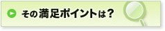 ���̖����|�C���g�́H