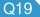 Q19
