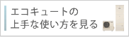 �G�R�L���[�g�̏��Ȏg����������