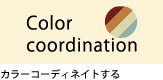�J���[�R�[�f�B�l�C�g����