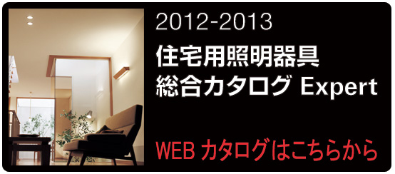 2011�`2012 �Z��X�܏Ɩ��J�^���O