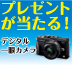 エネピタキャンペーン2012