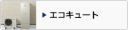 ����(�G�R�L���[�g�E�d�C������)