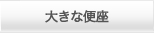 �傫�ȕ֍�