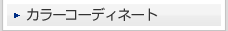 �J���[�R�[�f�B�l�[�g