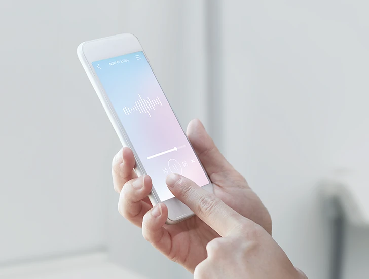 シーリングバスオーディオ