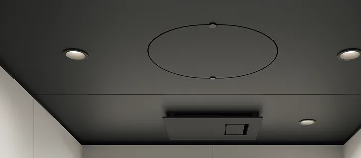 フラット天井（グレイスブラック柄）