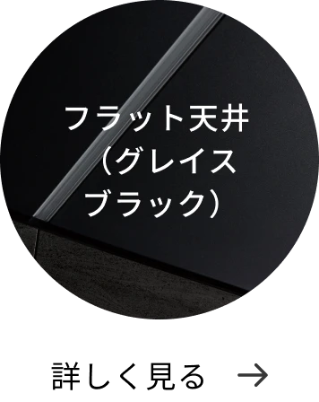 フラット天井（グレイスブラック） 詳しく見る→