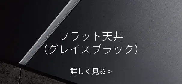 フラット天井（グレイスブラック） 詳しく見る