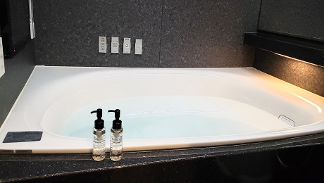 Lクラスバスルームリゾートバブル