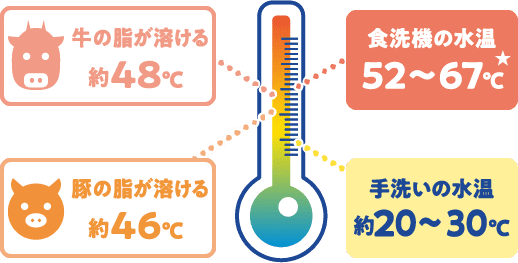 温度計のイラスト。食洗機の水温は52~67℃。牛の脂が溶ける温度は約48℃、豚の脂が溶ける温度は約46℃。手洗いの水温は約20~30℃