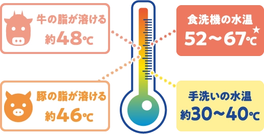 温度計のイラスト。食洗機の水温は52～67℃。牛の脂が溶ける温度は約48℃、豚の脂が溶ける温度は約46℃。手洗いの水温は約30～40℃