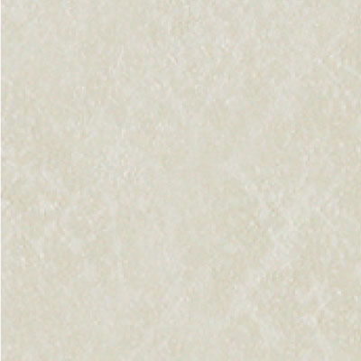 フィブロホワイト柄