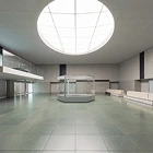 島根県立古代出雲歴史博物館　エアリライト　施工事例01