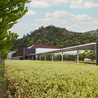 島根県立古代出雲歴史博物館　エアリライト　施工事例08