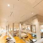 大阪府立近つ飛鳥博物館　エアリライト　事例05