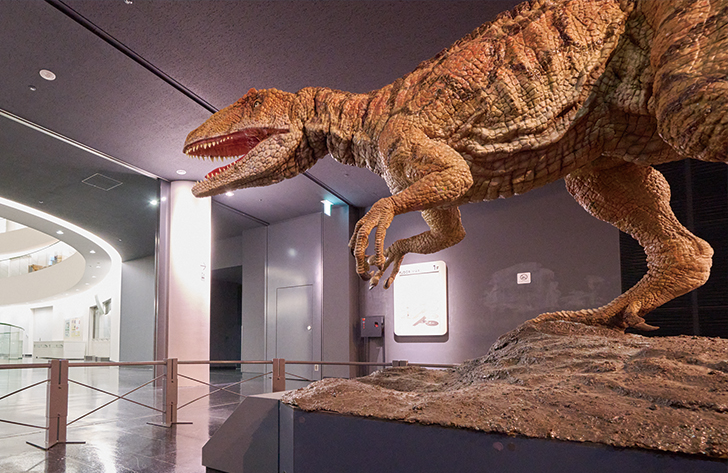 福井県立恐竜博物館