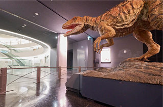 外観写真:福井県立恐竜博物館