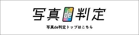 写真de判定トップはこちら