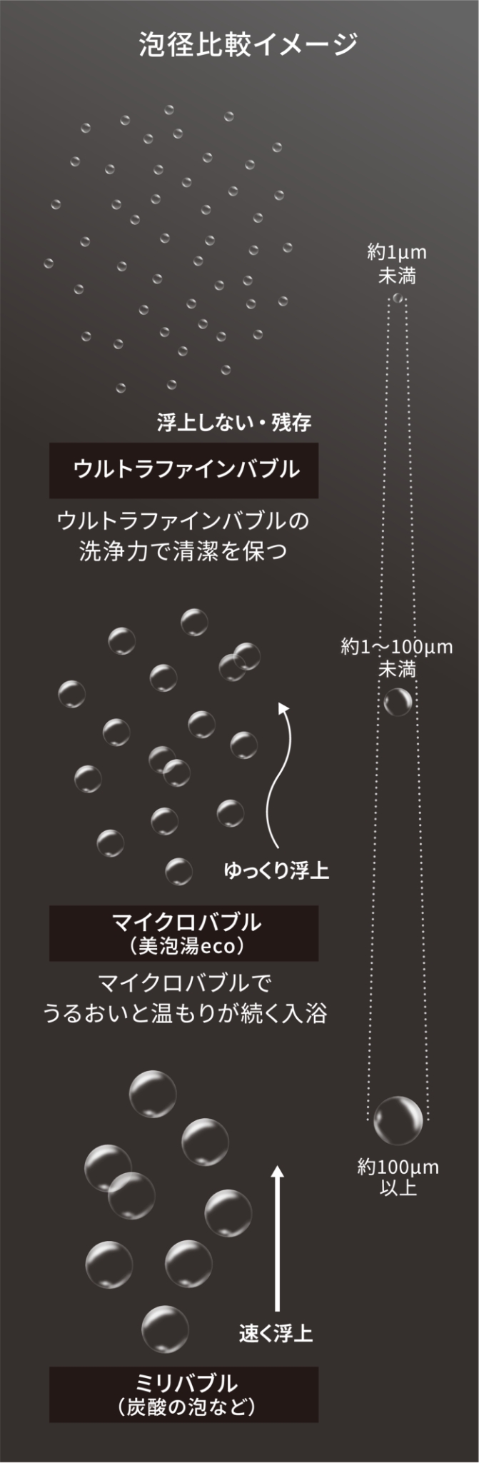 泡径比較イメージ