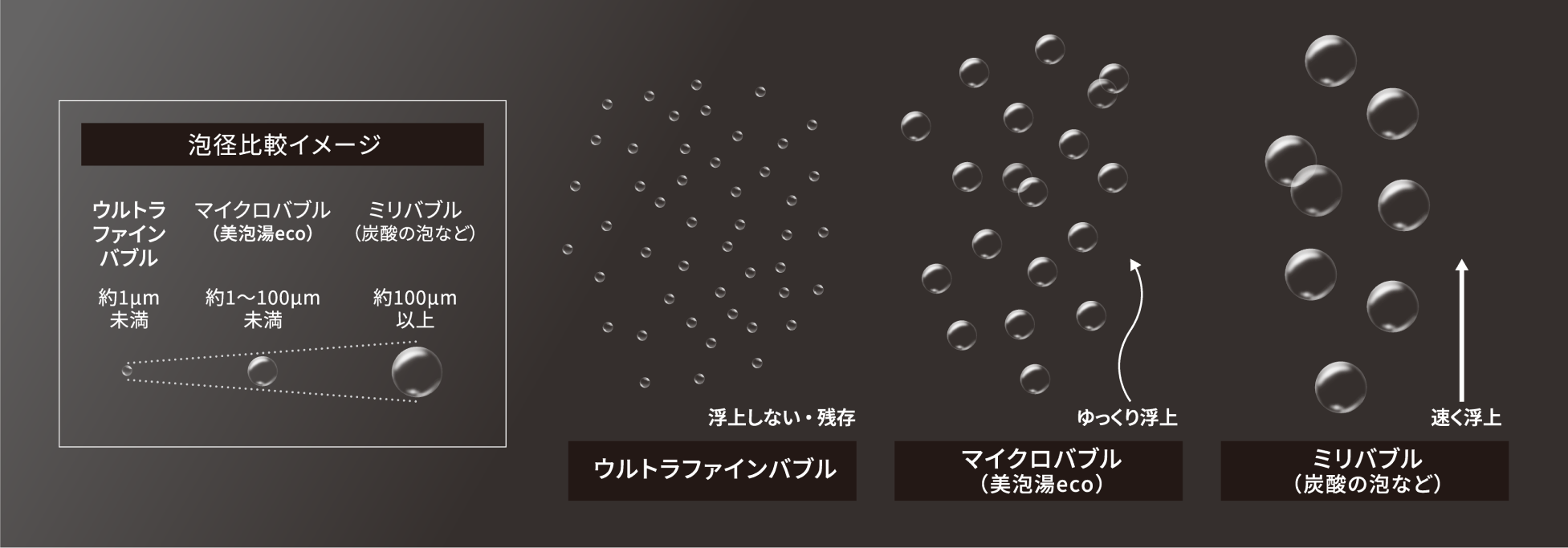 泡径比較イメージ