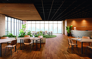 ボアシス 6mmタイプ