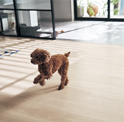 上から貼るだけで、小型犬の滑りに配慮した空間に。