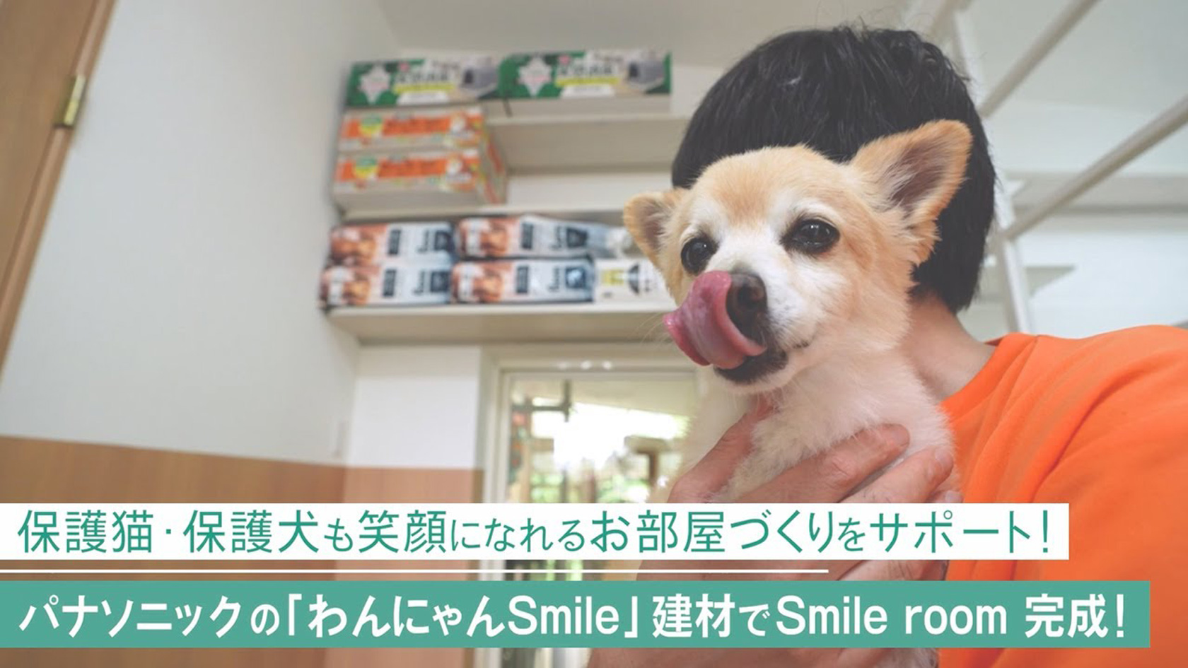 わんにゃんSmile建材 | Panasonic