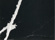 ネオマルキーナブラック