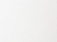 スレートホワイト