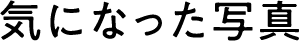 気になった写真