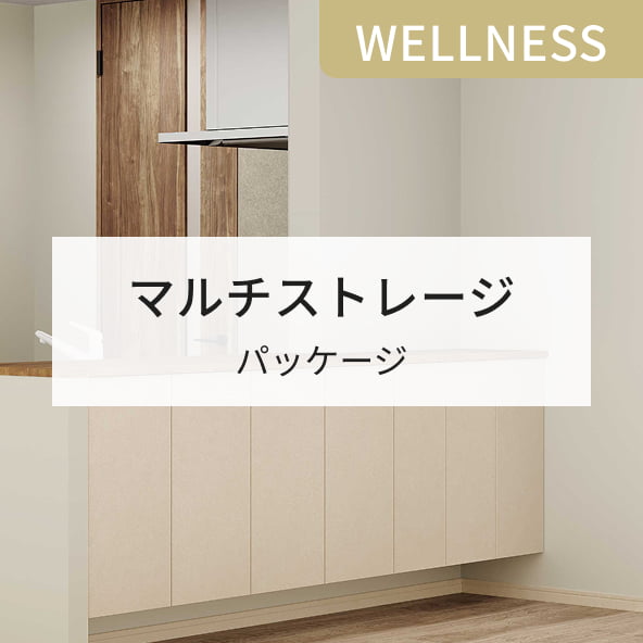 WELLNESS マルチストレージ パッケージ