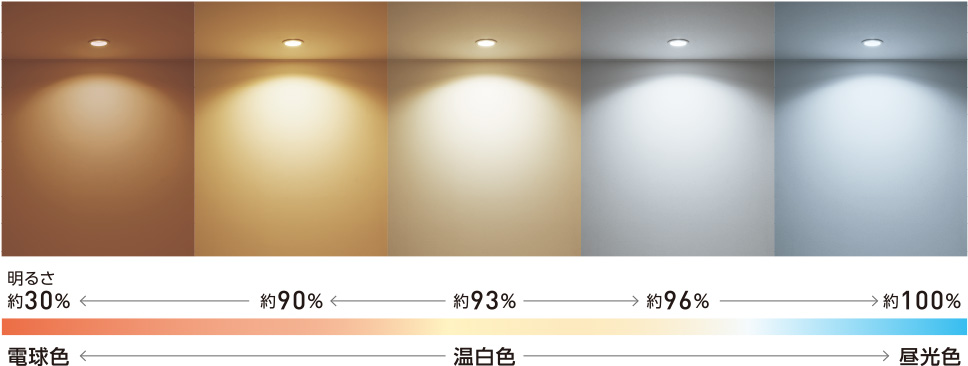 電球色 温白色 昼光色 色見本