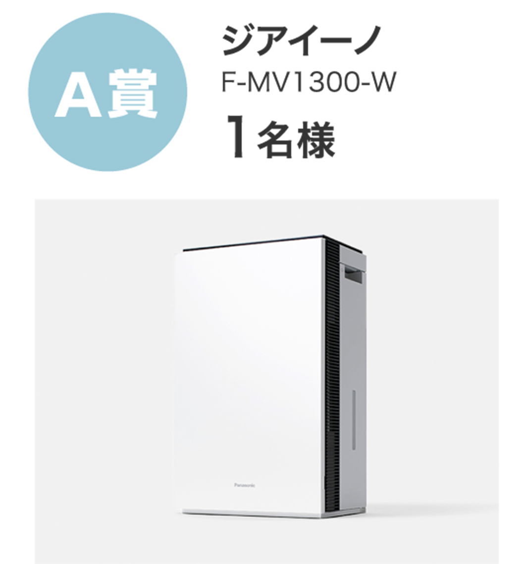 A賞 ジアイーノ F-MV1300-W 1名様