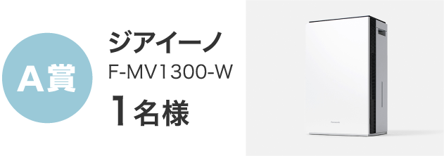 A賞 ジアイーノ F-MV1300-W 1名様