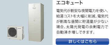 �G�R�L���[�g