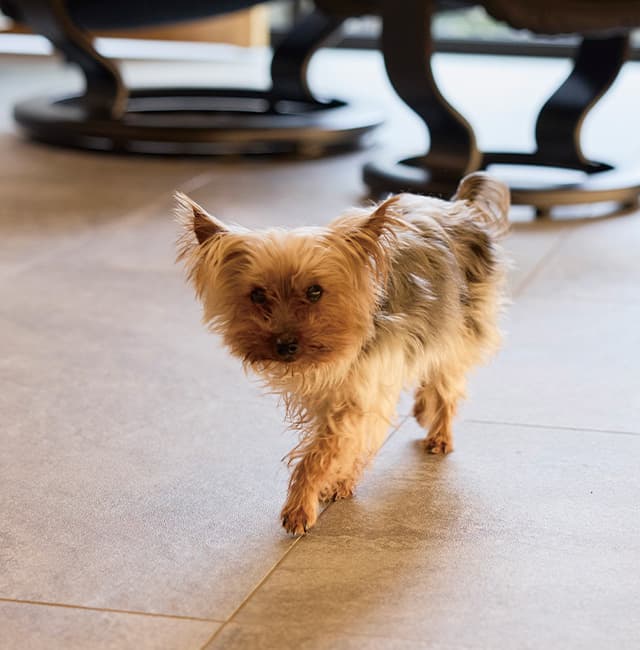 選定したタイル