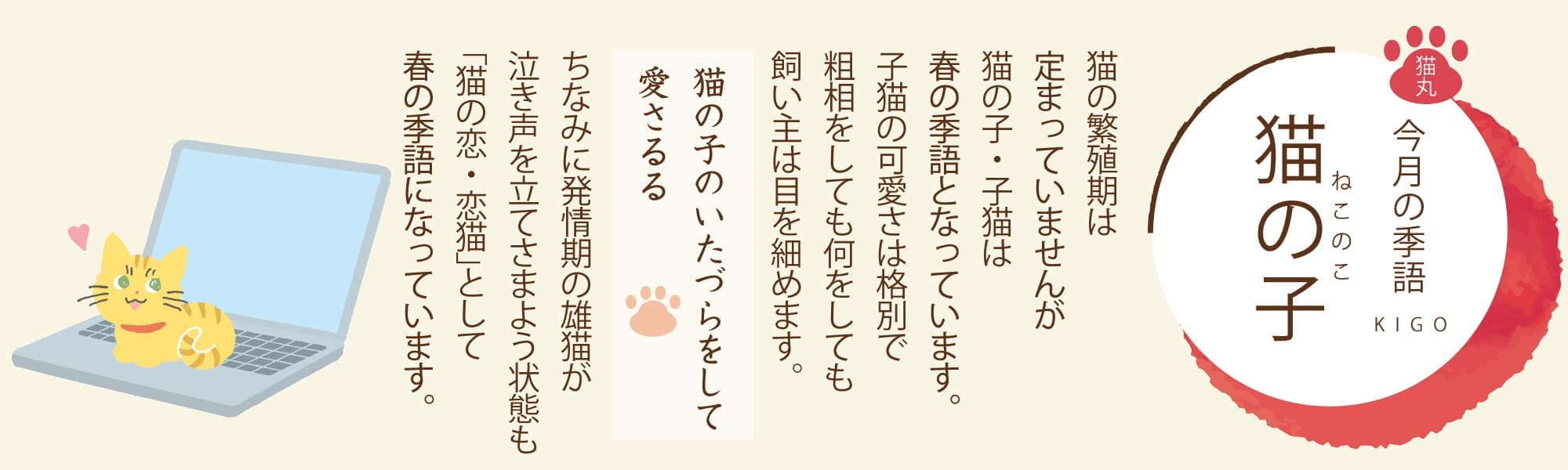 ［今月の季語］猫の子（ねこのこ） 猫の繁殖期は定まっていませんが猫の子・子猫は春の季語となっています。子猫の可愛さは格別で粗相をしても何をしても飼い主は目を細めます。