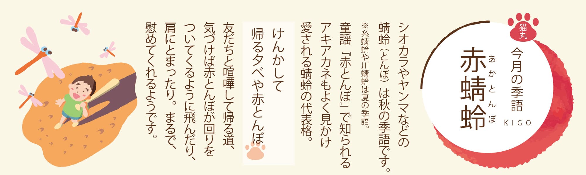 ［今月の季語］赤蜻蛉（あかとんぼ） シオカラやヤンマなどの蜻蛉（とんぼ）は秋の季語です。童謡『赤とんぼ』で知られるアキアカネもよく見かけ愛される蜻蛉の代表格。