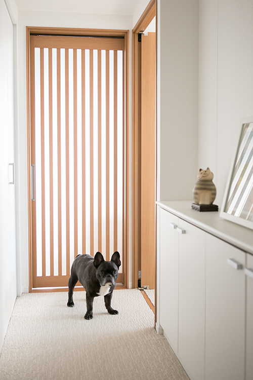 写真：格子扉で明るい廊下。カーペットが敷かれた廊下に立っている愛犬。