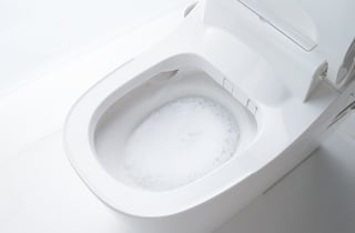 便器の中「アラウーノ」