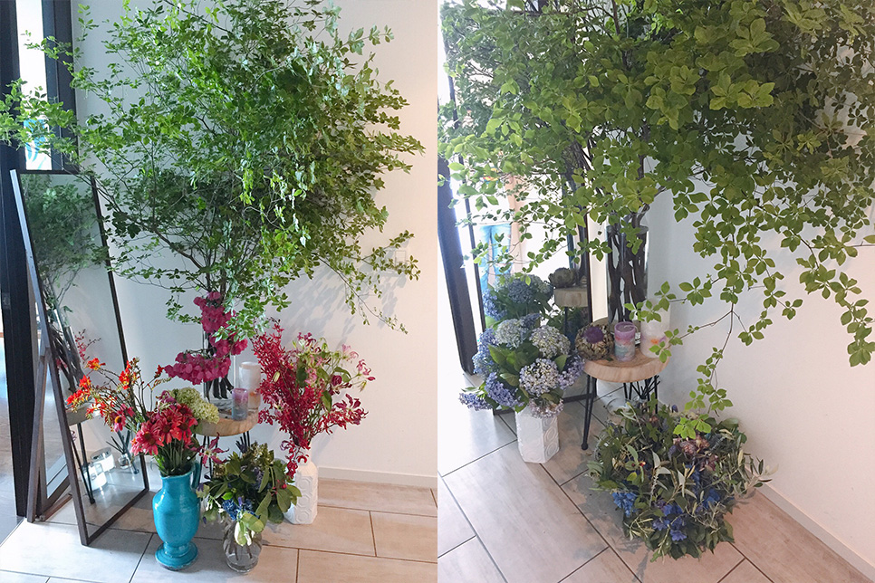 黒沢さんのご自宅、玄関を入ってすぐの植物コーナー