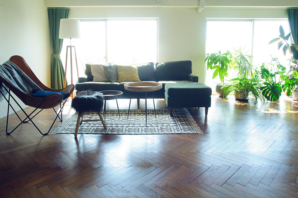 リビングには北欧製やヴィンテージを中心にさまざまなデザインの椅子が並ぶ