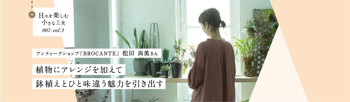 日々を楽しむ小さな工夫007-vol3 植物にアレンジを加えて鉢植えとひと味違う魅力を引き出す