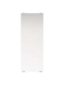 シンプルミラー W250×H650