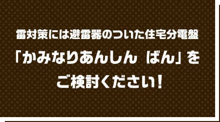 雷対策には避雷器のついた住宅分電盤「かみなりあんしん ばん」をご検討ください！