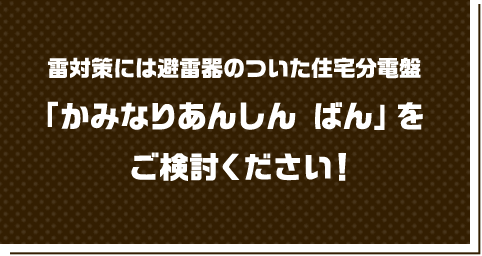 雷対策には避雷器のついた住宅分電盤「かみなりあんしん ばん」をご検討ください！
